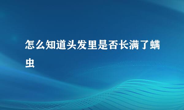 怎么知道头发里是否长满了螨虫