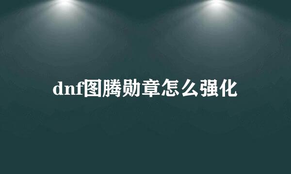 dnf图腾勋章怎么强化