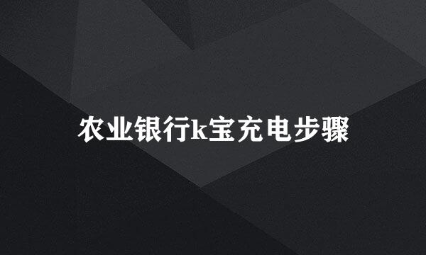 农业银行k宝充电步骤