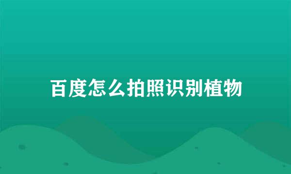 百度怎么拍照识别植物