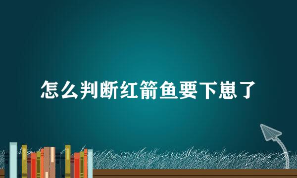 怎么判断红箭鱼要下崽了
