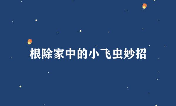 根除家中的小飞虫妙招