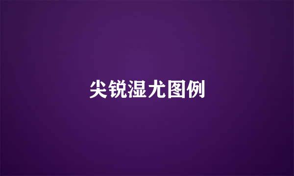 尖锐湿尤图例