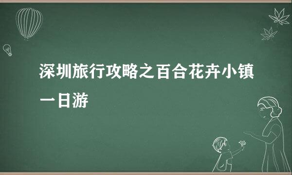 深圳旅行攻略之百合花卉小镇一日游