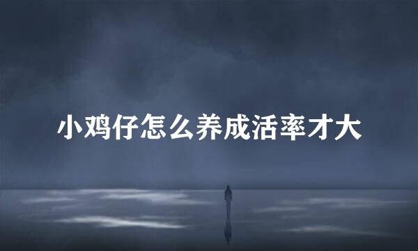 小鸡仔怎么养成活率才大