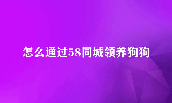 怎么通过58同城领养狗狗