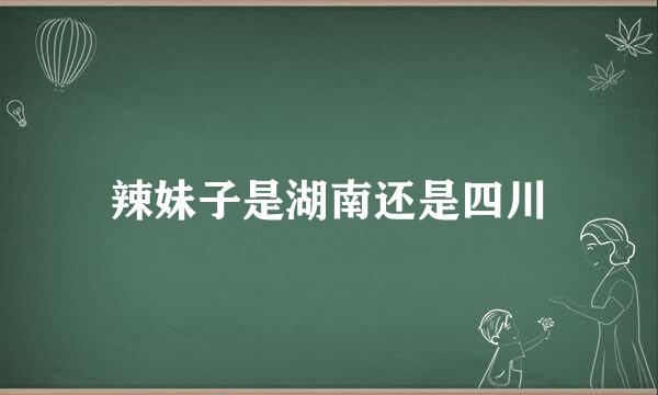 辣妹子是湖南还是四川