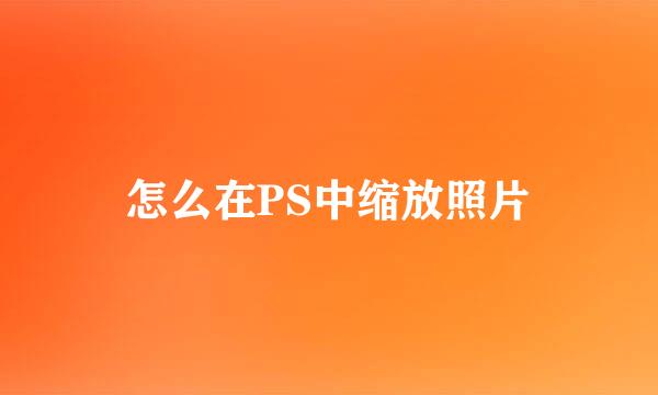 怎么在PS中缩放照片