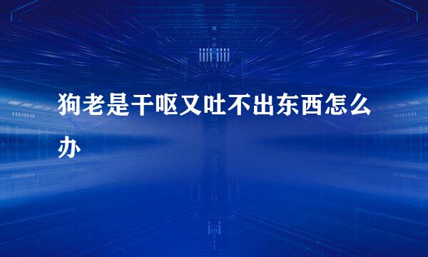 狗老是干呕又吐不出东西怎么办