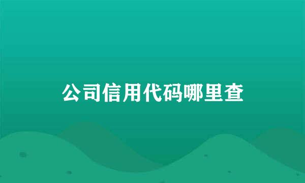 公司信用代码哪里查