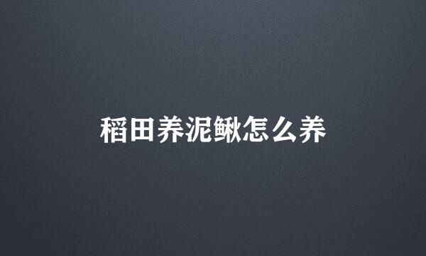 稻田养泥鳅怎么养
