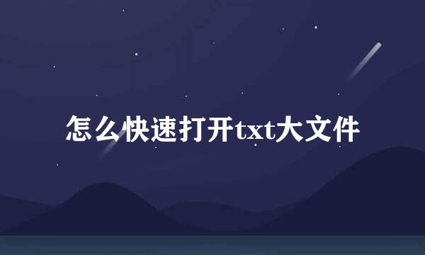 怎么快速打开txt大文件