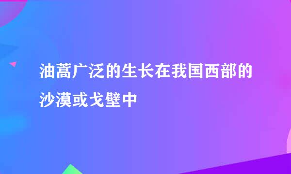 油蒿广泛的生长在我国西部的沙漠或戈壁中