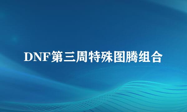 DNF第三周特殊图腾组合