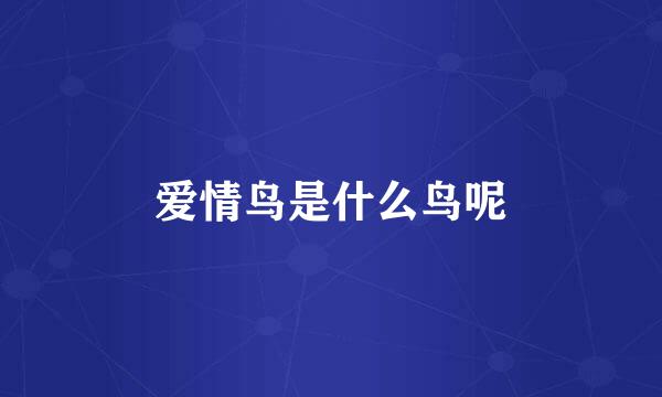 爱情鸟是什么鸟呢