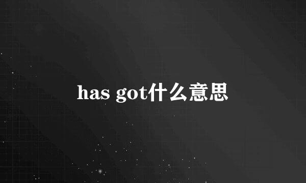 has got什么意思