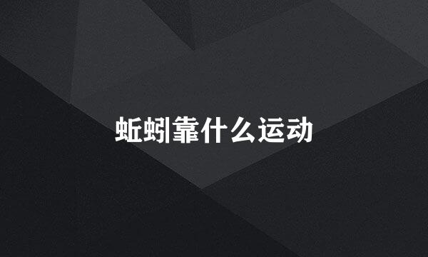 蚯蚓靠什么运动