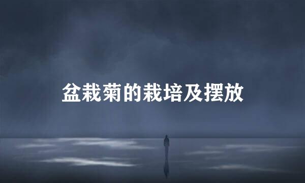 盆栽菊的栽培及摆放