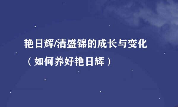 艳日辉/清盛锦的成长与变化（如何养好艳日辉）