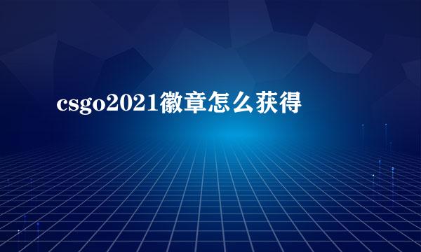 csgo2021徽章怎么获得