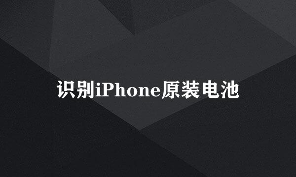 识别iPhone原装电池