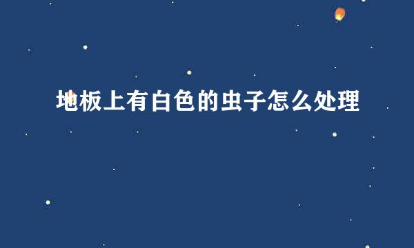 地板上有白色的虫子怎么处理