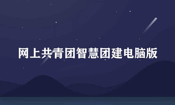网上共青团智慧团建电脑版