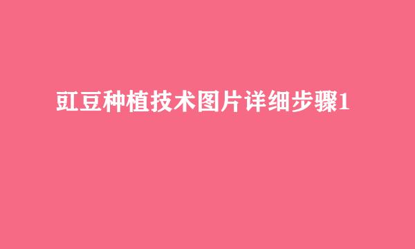 豇豆种植技术图片详细步骤1