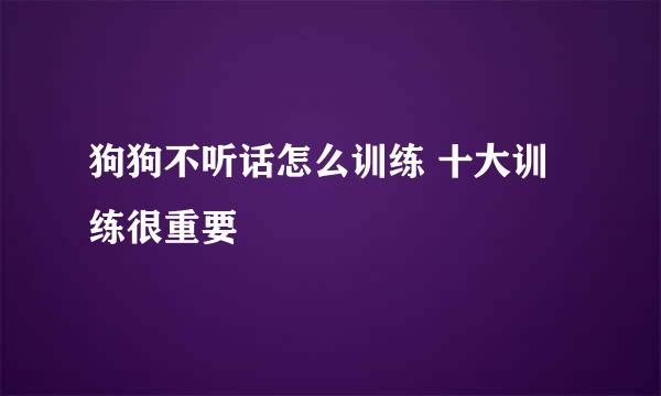 狗狗不听话怎么训练 十大训练很重要