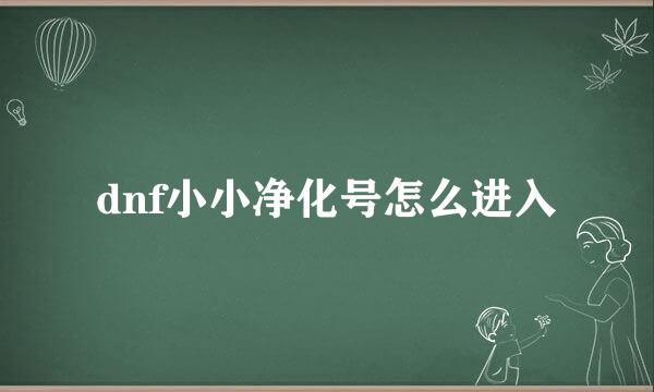 dnf小小净化号怎么进入