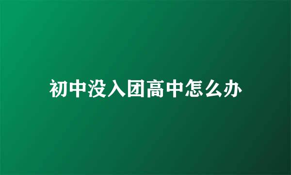 初中没入团高中怎么办