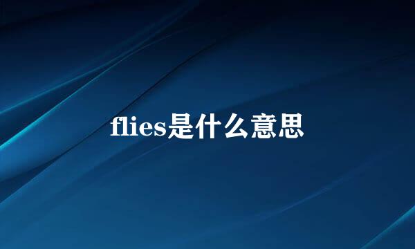 flies是什么意思