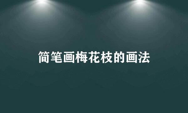 简笔画梅花枝的画法