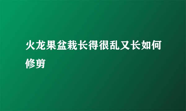 火龙果盆栽长得很乱又长如何修剪