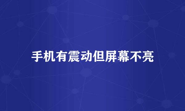 手机有震动但屏幕不亮