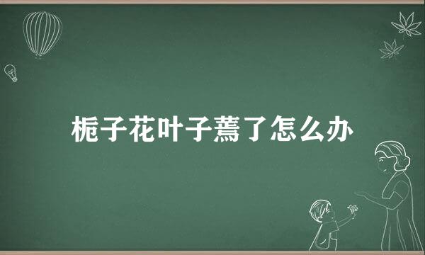 栀子花叶子蔫了怎么办