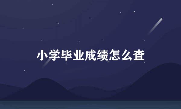 小学毕业成绩怎么查