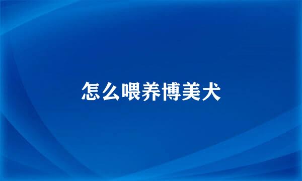 怎么喂养博美犬