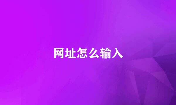 网址怎么输入