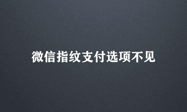 微信指纹支付选项不见