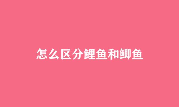 怎么区分鲤鱼和鲫鱼