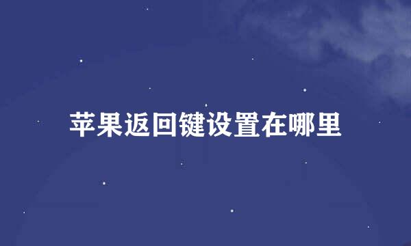 苹果返回键设置在哪里