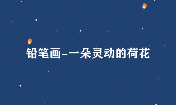 铅笔画-一朵灵动的荷花