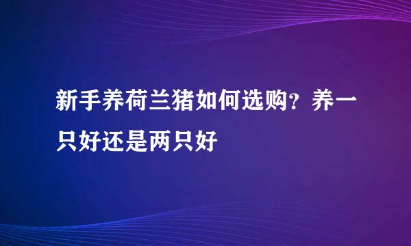 新手养荷兰猪如何选购？养一只好还是两只好