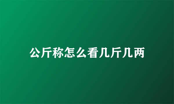 公斤称怎么看几斤几两