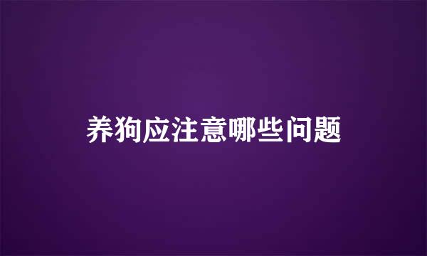 养狗应注意哪些问题