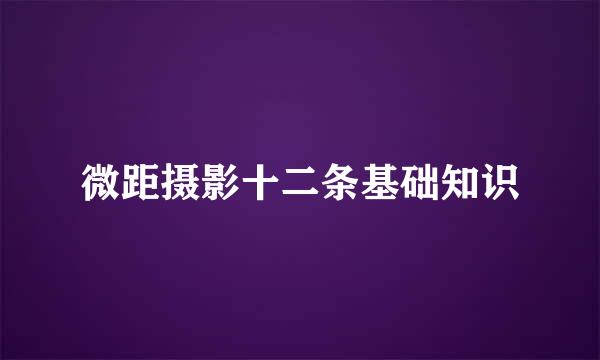 微距摄影十二条基础知识