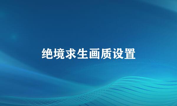 绝境求生画质设置