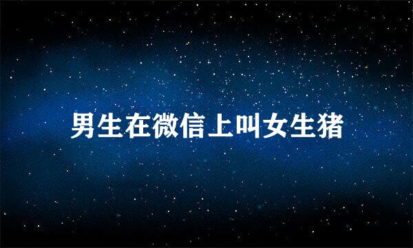 男生在微信上叫女生猪
