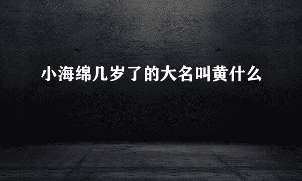小海绵几岁了的大名叫黄什么